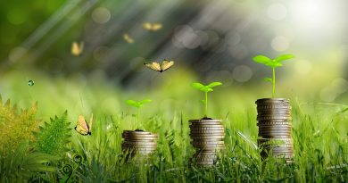 What is the Best Way to Find Florida Hard Money Lenders for Commercial Properties