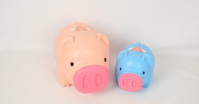 What Type of Properties can I Purchase or Refinance when Using Hard Money Loans? for entertainment venues